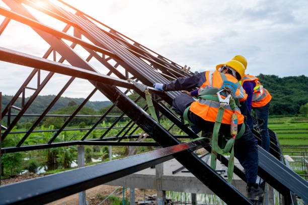 Best Roof Gutter Cleaning  in Avondale, LA